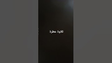 تلاوة عطرة #القرآن_الكريم #راحة_نفسية #صلوا_على_النبي #تلاوة_خاشعة