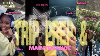 PUERTO RICO TRIP PREP AND MAINTENANCE || HAIR, NAILS, SHOPPING, NEW CAMERA, HAULS, EYEBROWS, LASHES!