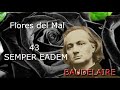 Las Flores del Mal. 43 SEMPER EADEM (Siempre la misma). Baudelaire.