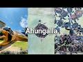 Walking Through a Giant Turtle! - Ahungalla Turtle Conservation Center