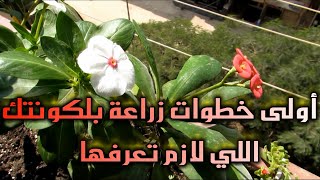 أولى خطوات زراعة بلكونتك اللي لازم تعرفها  The First Step of Balcony Garding