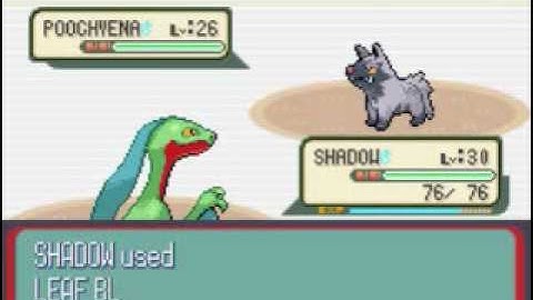 pokemon ruby part 34