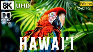 Hawaii 8K Hdr Video Ultra Hd 240 Fps Dolby Vision