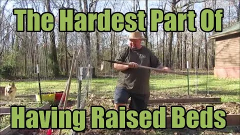 Adding Compost To The Raised Beds