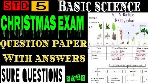 Class 5 Basic Science Christmas Exam Question Paper |class5 Basic science annual exam |class5