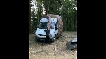 OMG #5              #short #video #viral #youtube