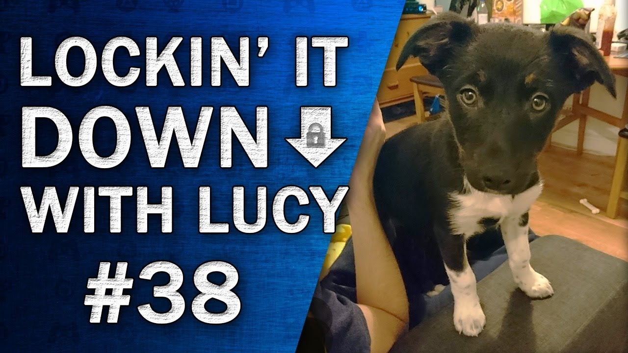 Lockin' it Down with Lucy #38 | Lunas Anniversary and Whose Line is it Anyway?