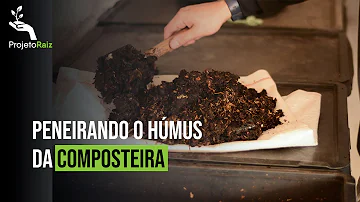 Como acontece a formação do húmus?