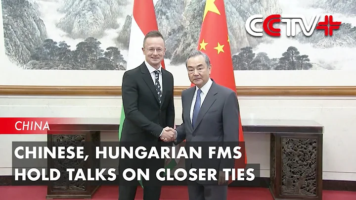 Chinese, Hungarian FMs Hold Talks on Closer Ties - DayDayNews