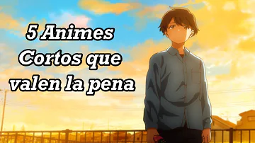 ¿Qué anime corto debería ver?