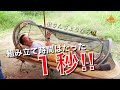 ポップアップシェルター　アルパインデザイン【そうだキャンプに行こう！ギアレビュー#3】