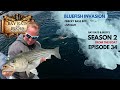 Bluefish Invasion and Live Bait This Weeks Top Choice