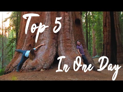 PERFECT Day In Sequoia NP // TOP 5 to do in ONE DAY