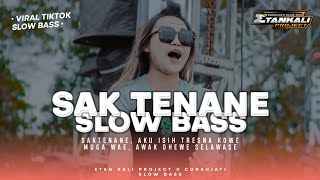 DJ SAK TENANE Aku Isih Tresno Karo Kowe | SLOW BASS viral Tiktok