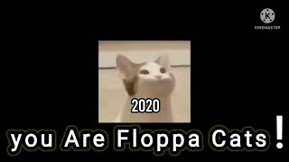 You are floppa cats! my Kinemaster
