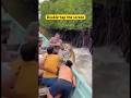Face to Face With a Wild Tiger — No Time to Escape