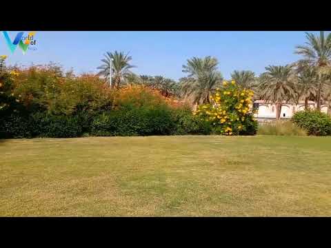    حديقة الجاهلي بالعين الإمارات
