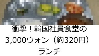 韓国の反応・衝撃！韓国社員食堂の3,000ウォン（約320円）ランチ　（ネタ的なもの）