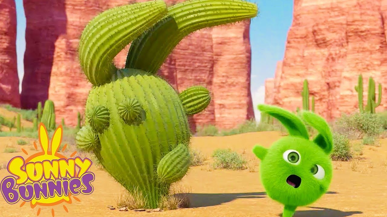 SUNNY BUNNIES - Cactus Hopper 🌵 | Season 5 | Cartoons for Kids