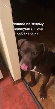 youtube.com