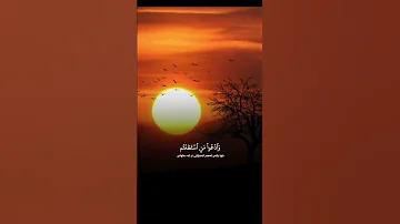 وما كان القرآن ان يفترى من دون الله قراءة هادئة و مريحة للشيخ ياسر الدوسري قران كريم المصحف 
