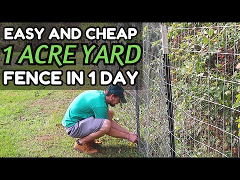 Video: Cheap fence for giving. What is the cheapest way to make a fence?