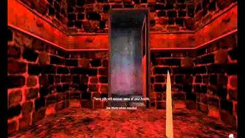 Half-life - Afraid of Monsters Director