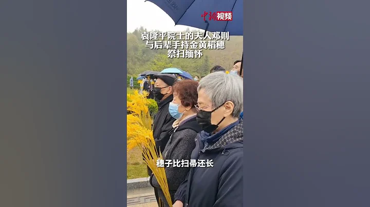 今天，他们手持金黄稻穗缅怀袁隆平 - 天天要闻