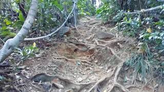 2分動画　沖縄石垣島⛰️絶景野底マーペー登山
