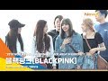 블랙핑크(BLACKPINK), 미모를 질투하는 뜨거운 태양 [NewsenTV]