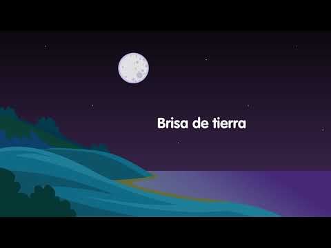 Video: ¿A qué hora del día la brisa marina es más fuerte?