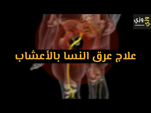 فيديو: أعشاب لعرق النسا