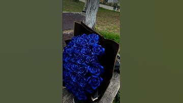 تلاوة خاشعة تريح القلب 💜💜 | إني جزيتهم اليوم بما صبروا | القارئ #إسلا_صبحي | 🥺♥💕💔🌹🌺🤍💜