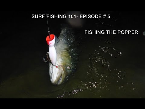 Surf Fishing 101 Episode # 5 The Popper 