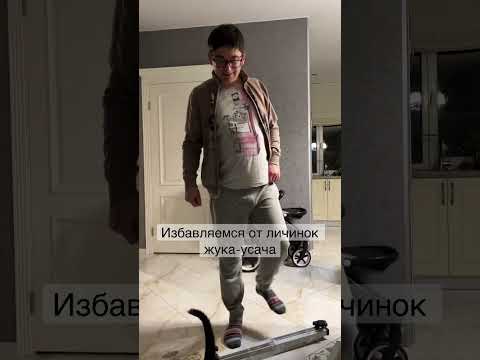 Никакие обработки бруса не избавят деревянный дом от этих насекомых. Это наш второй опыт. Успешный.