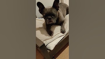 Boosted board mini x weird noise belts off