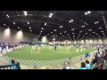 Fiji In Round 4 Of The 2015 AKC Agility Invitational