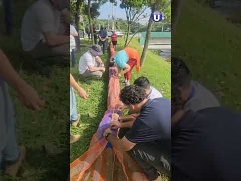 Ecobarreira é instalada no Córrego Vidoca na manhã deste sábado (6)