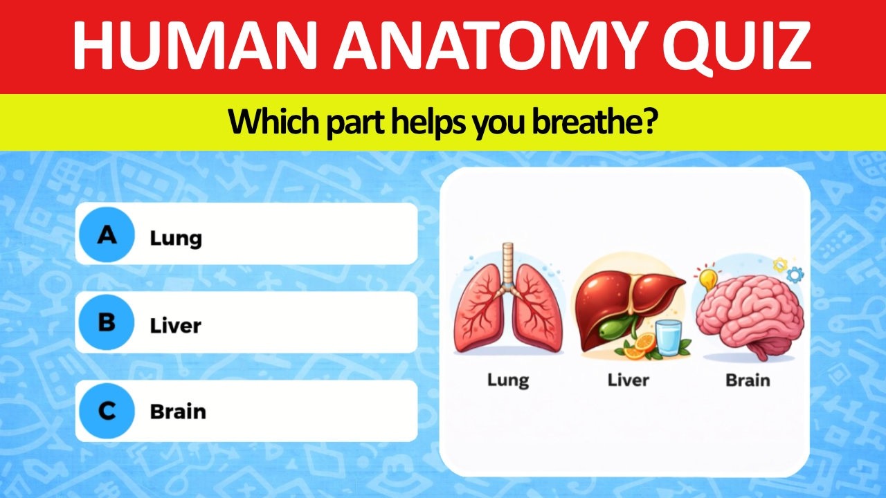 Only Smart People Can Pass This Human Anatomy Quiz 🧠 - YouTube
