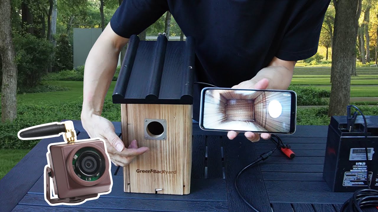 Birdhouse Video Ramp How to Set Up a Camera to Watch the Entrance of a birdhouse - YouTube