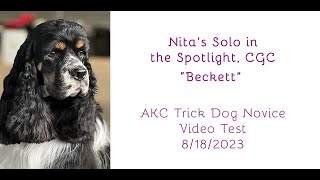 Beckett AKC Trick Dog Test (Novice)