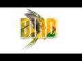 Adobe Express Text Effect Animation🎓 Remove Background🦜 Merge Visible, Black Text, Screen Blend Mode