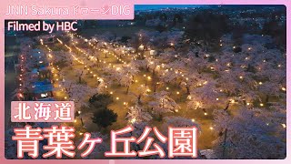 Drタイフーン ひかりの空 親玉'S 大地の子 球追う日日 大樹の道 霧島嵐児 Drタイフーン ひかりの空 親玉´S 大地の子 球追う日日 大樹の道