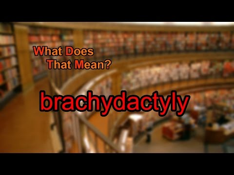 What does brachydactyly mean?