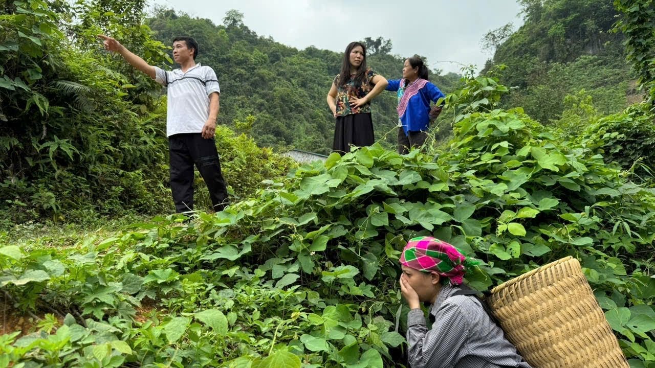Выгнанная семьей мужа, девушка расплакалась и убежала в лес.
