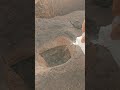 سقيا واطعام الطيور اكسبلور