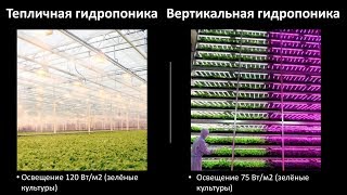 Вертикальные фермы. Конкурентоспособность продукции (салаты, укроп, кинза) Вертикальные фермы. Конкурентоспособность продукции (салаты, укроп, кинза)