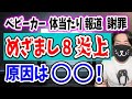 めざまし８ベビーカー体当たり報道で謝罪！被害女性「間違った事実を伝えるのはどうなのか？」原因と問題点 Mp3 Song