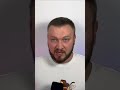 ЗСУ тримають оборону України