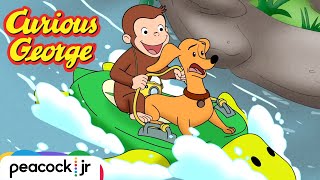 Explore Turtle Island with George 🐢🌺 | CURIOUS GEORGE